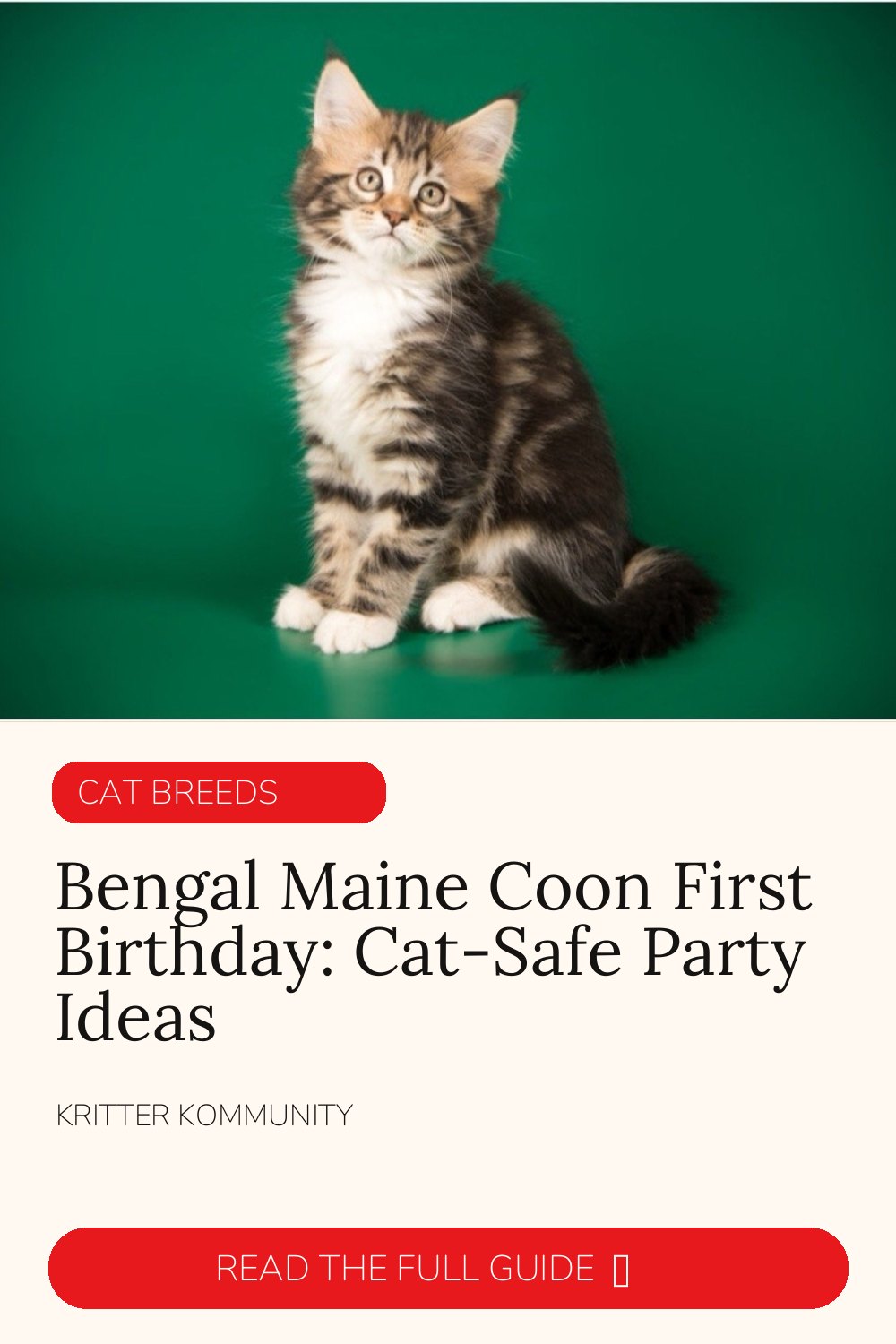 Bengal Maine Coon First Birthday: Cat-Safe Party Ideas • Kritter Kommunity