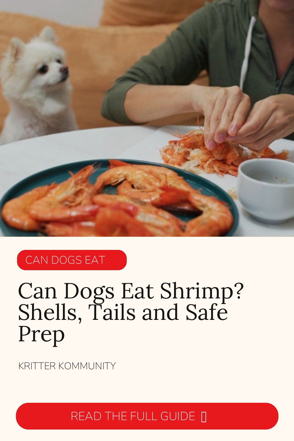 Can Dogs Eat Shrimp? Shells, Tails & Safe Portions