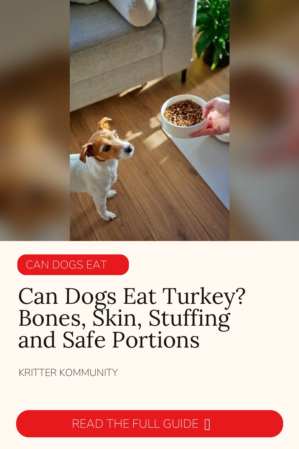 Can Dogs Eat Turkey? Bones, Skin, Stuffing & Portions