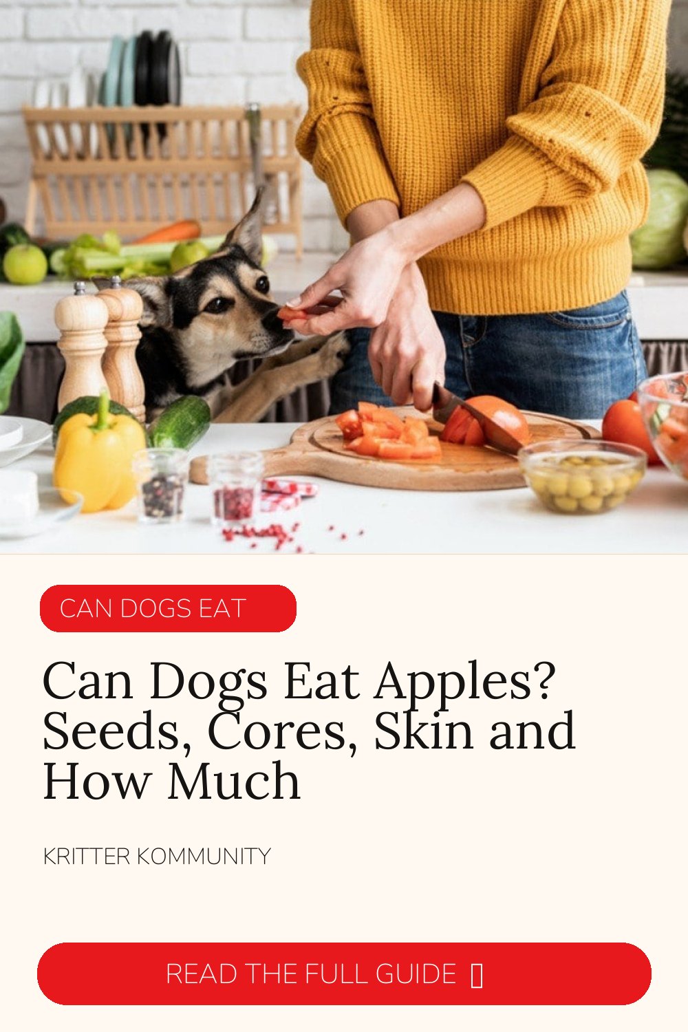 Can Dogs Eat Apples? Seeds, Cores, Skin & How Much