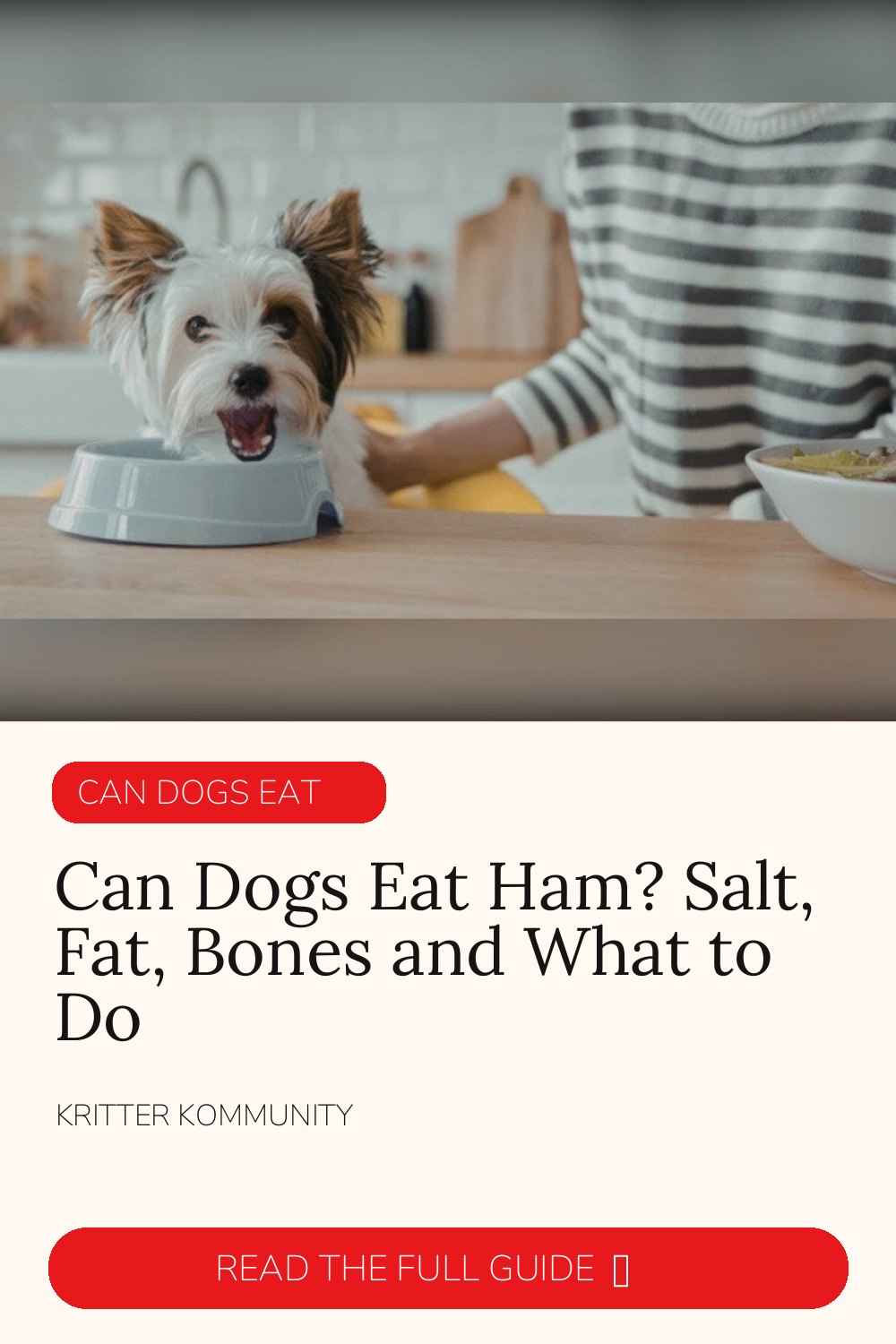 Can Dogs Eat Ham? Salt, Fat, Bones & What to Do