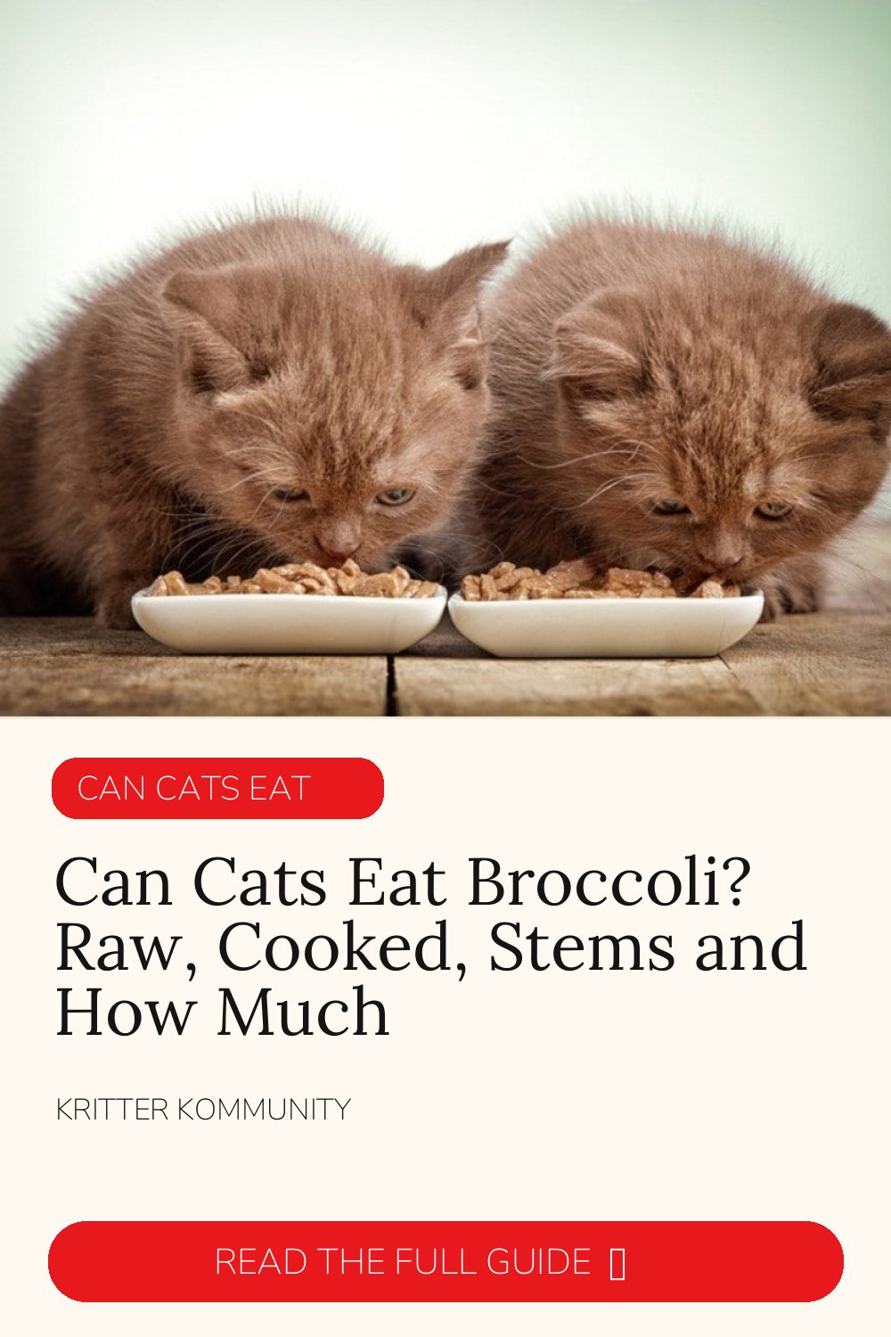 Can Cats Eat Broccoli? Raw, Cooked, Stems & How Much