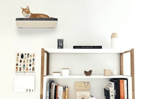 Gatto Pertica Cat Shelf