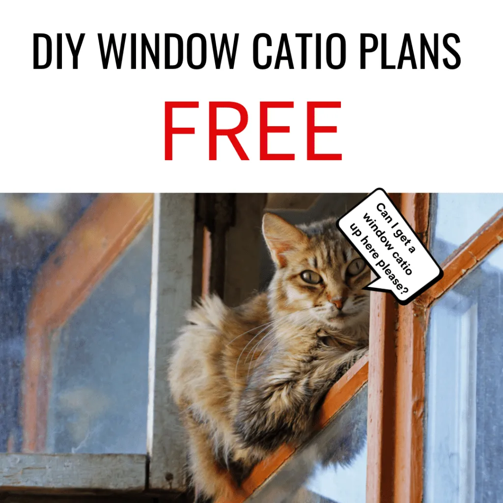 Cat window hotsell patio diy