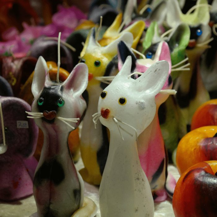 Scented Air Fresheners And Scented Candles Are They Bad For Cats? [2024] • Kritter Kommunity