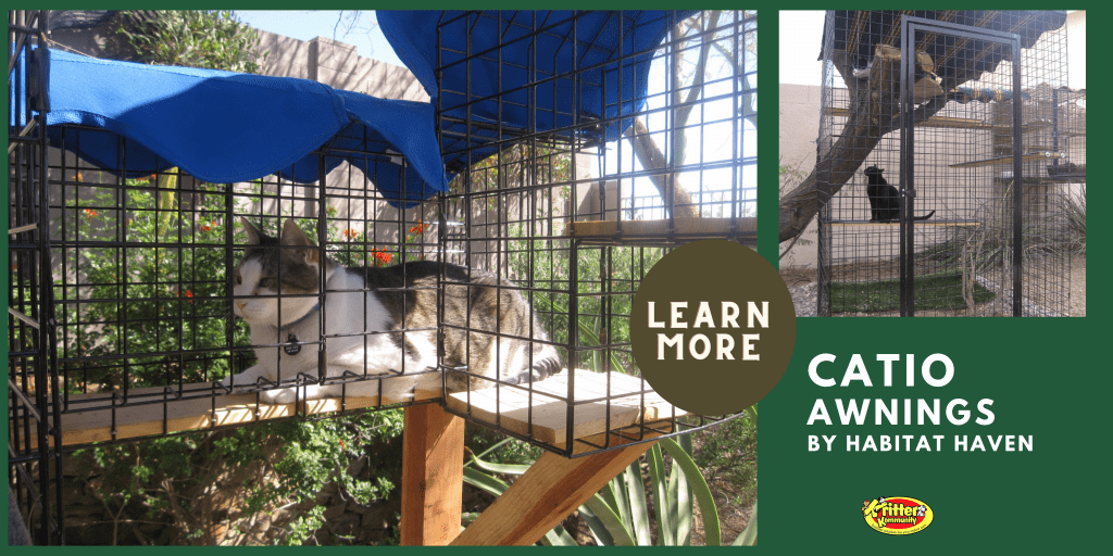 Catio accessories clearance