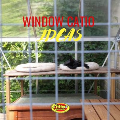 Window catio clearance ideas