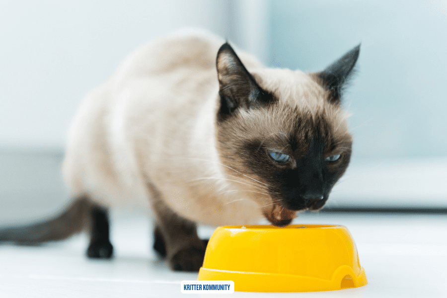 cat-food-taurine cat-food-taurine