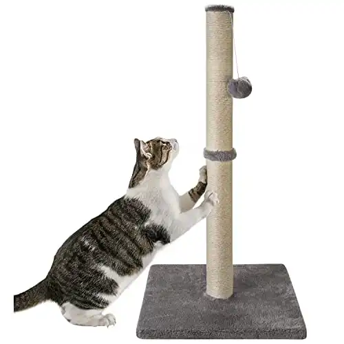 Qucey 32 Inches Tall Cat Scratching Post, Cat Scratch Post Tree Kitten Scratcher with Sisal Rope, Scratching Post for Indoor Cats with Hanging Ball
