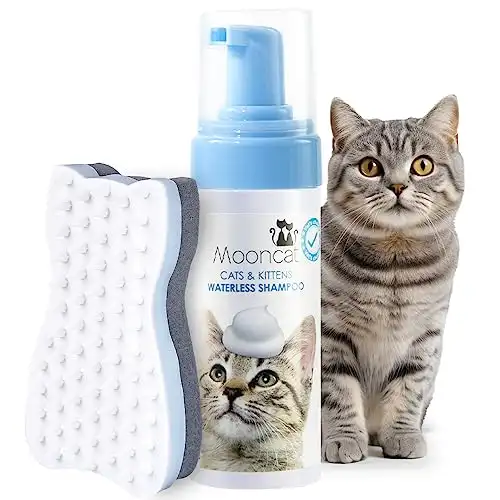 Kitten store safe shampoo