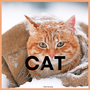 cat-hideout-pin1