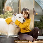 dog-safe-landscaping