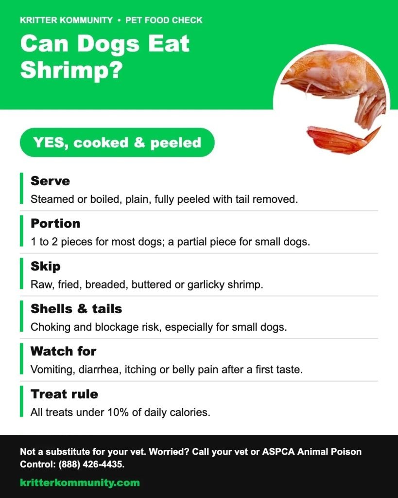 Prawn Shells Can Dogs Eat Shrimp? Shells, Tails & Safe Portions